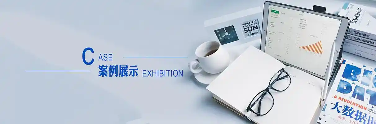 双城市软件开发